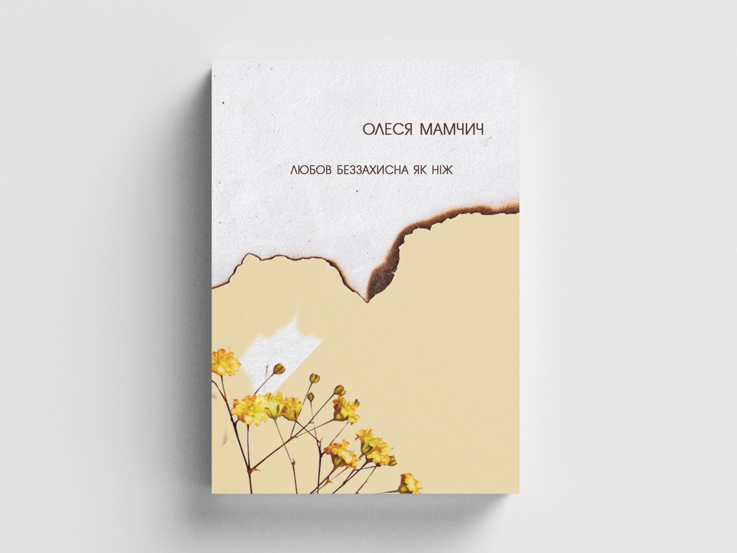 mamchych-cvr